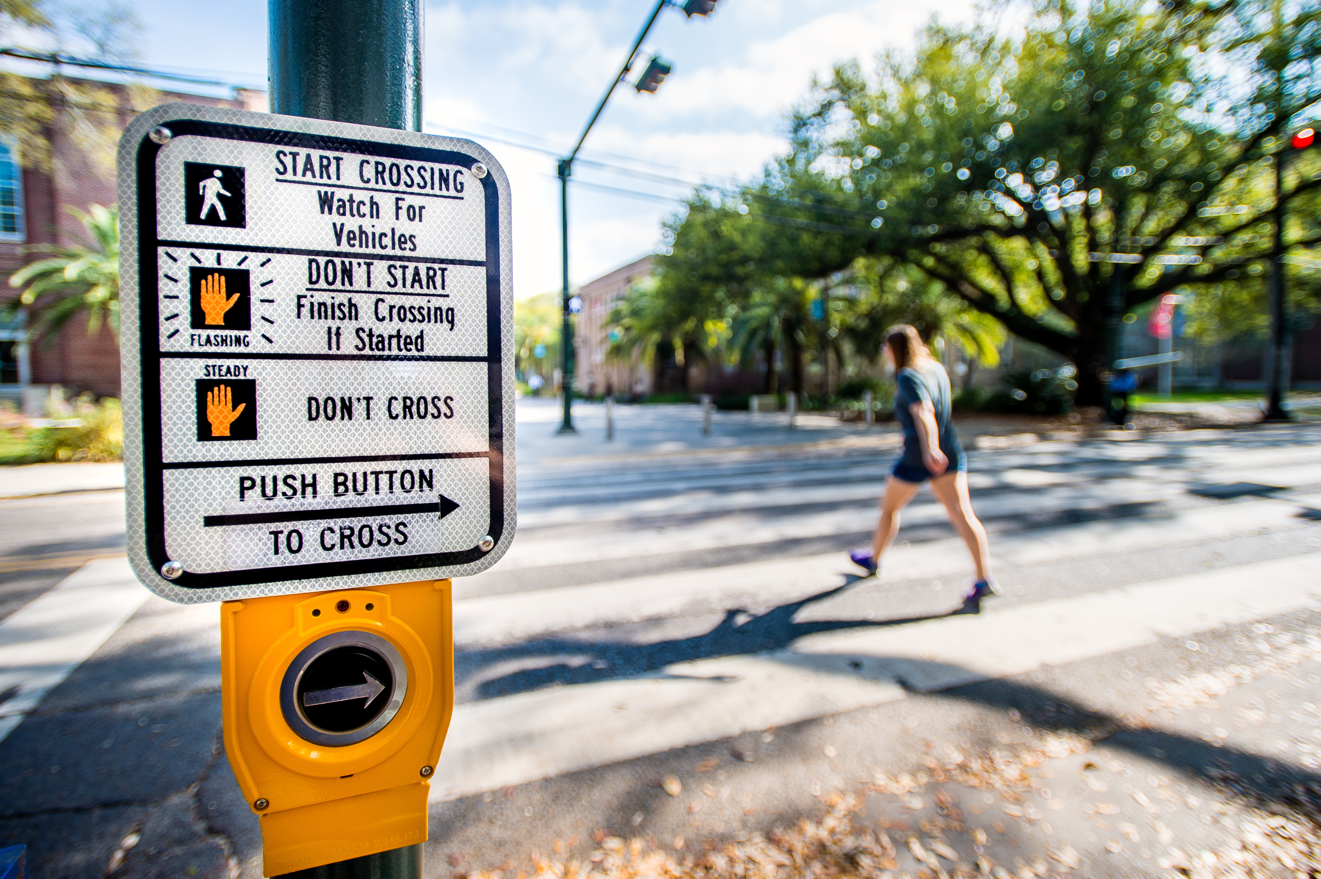 Pictured is an Accessible Pedestrian Signal (APS) at Freret and McAlister that beeps in order to help the visually impaired cross the street.